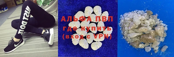 сатива Баксан