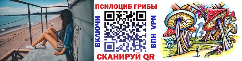 OMG   цены   Сенгилей  Галлюциногенные грибы Psilocybine cubensis 